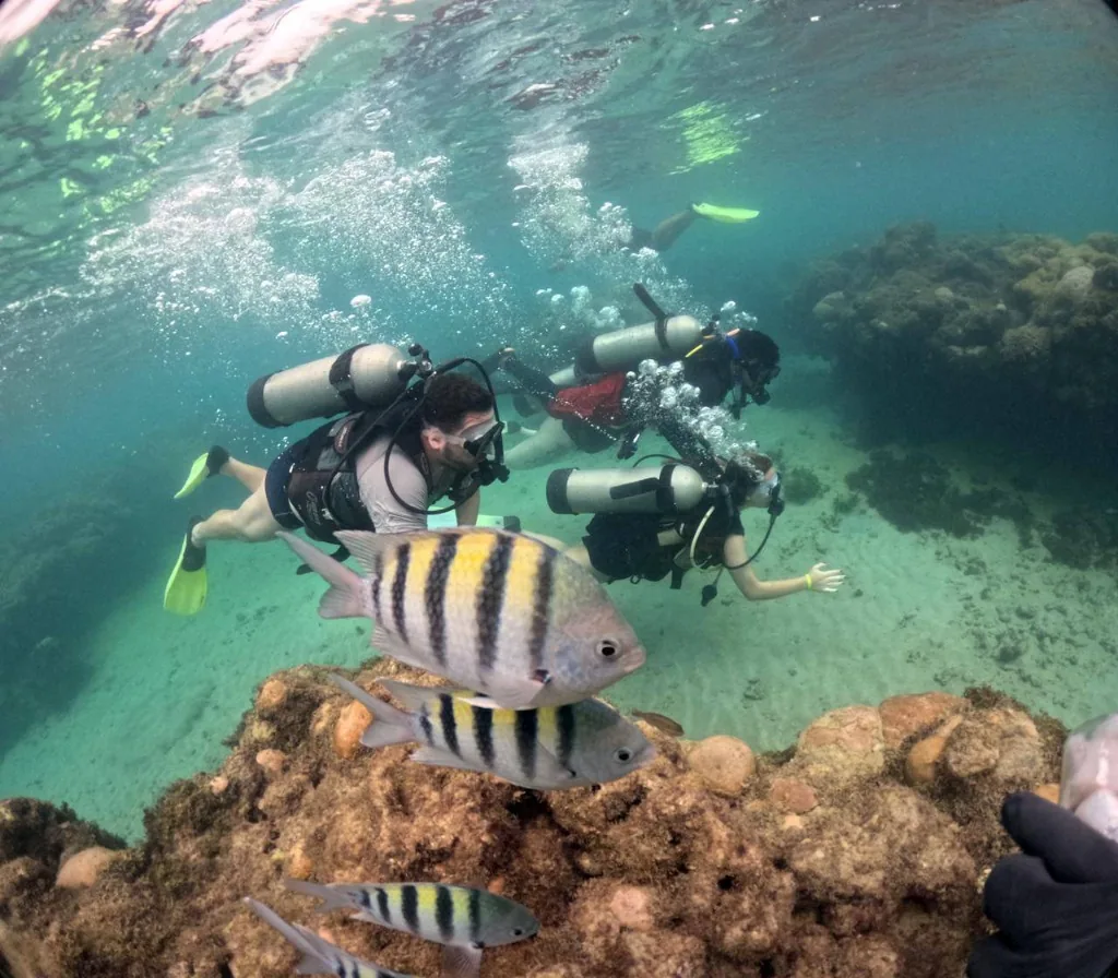 Snorkel em Maracajaú
