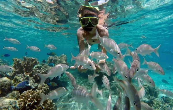 Mergulho com Peixes em Maracajaú